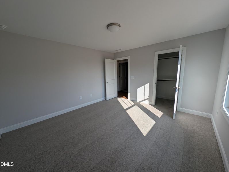 PXL_20251120_144749519