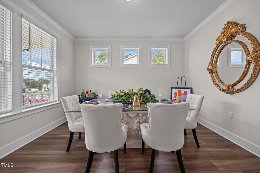 11-web-or-mls-IMG_9674