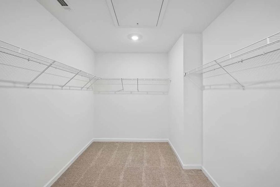 Primary Bedroom Walk-In Closet