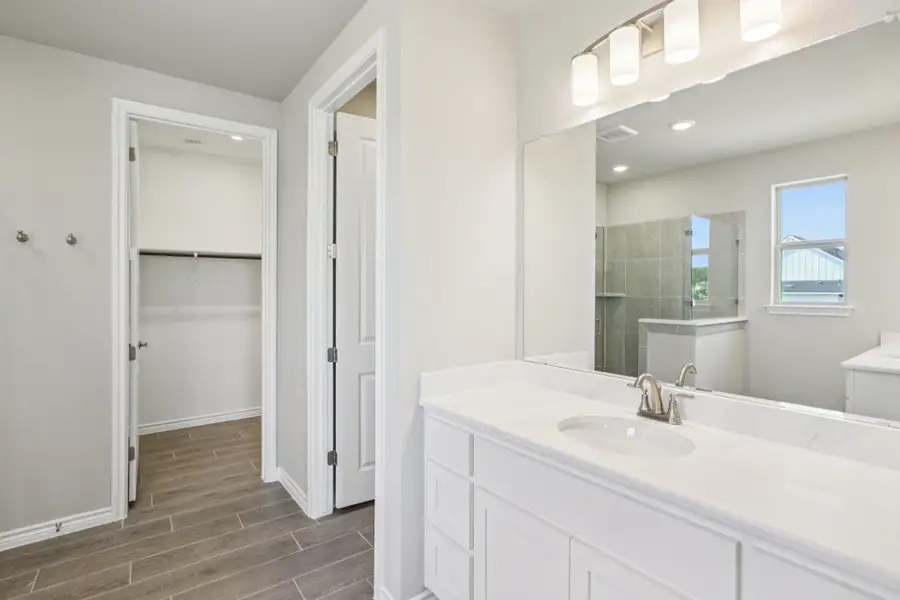Bathroom featuring vanity, walk in shower, wood tiled floors, a walk in closet, and recessed lighting