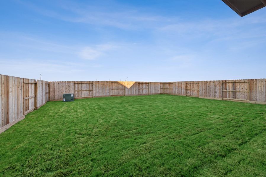 Huge backyard! Huge backyard!