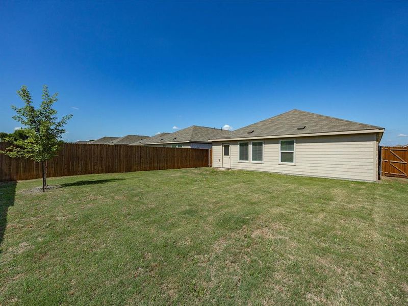 Expansive rear yard featuring green lawn, privacy fencing, a young tree, and a side entry door