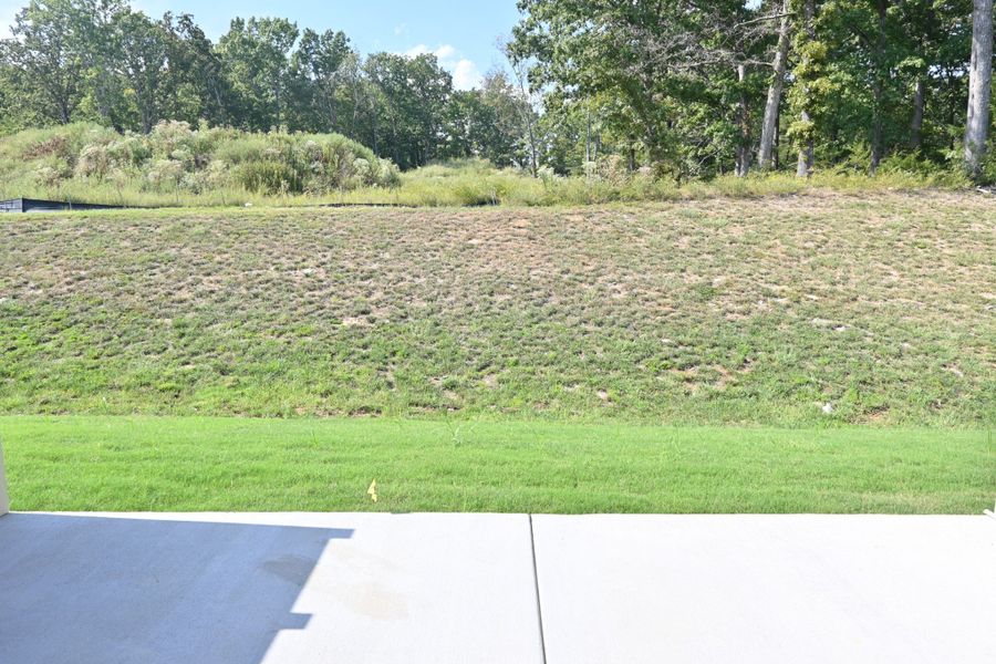 Natural landscape and outdoor views near Talia Trace in Smyrna (Image 25). Natural landscape and outdoor views near Talia Trace in Smyrna (Image 25).
