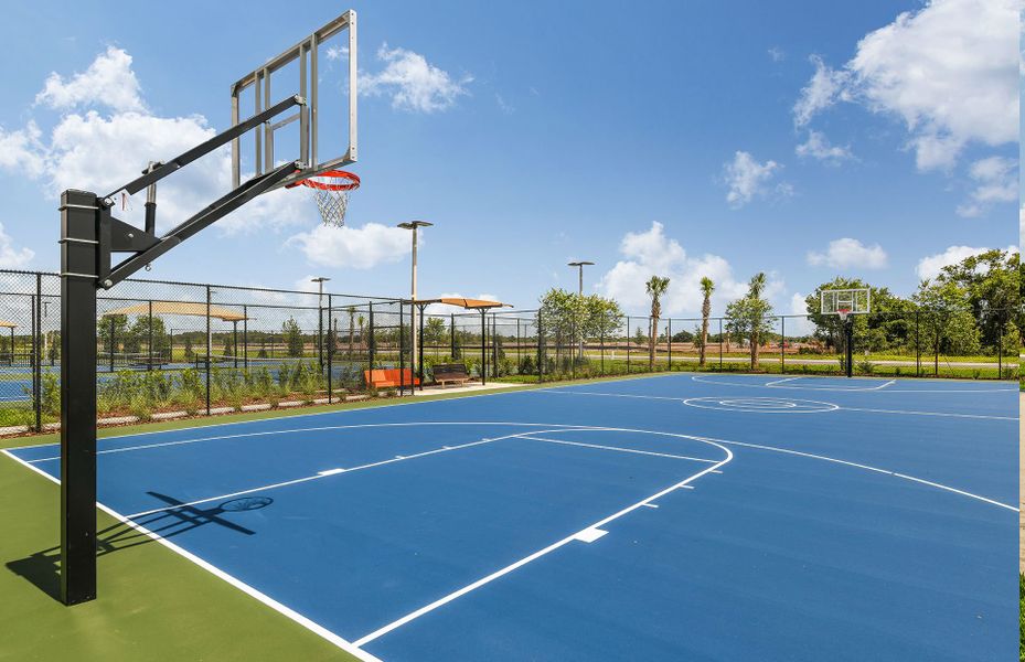 Gated Basketball Court