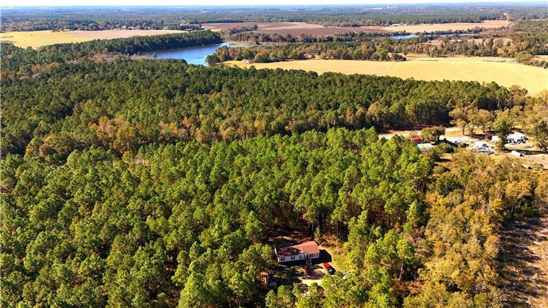Natural landscape and outdoor views near  in Chester (Image 23).