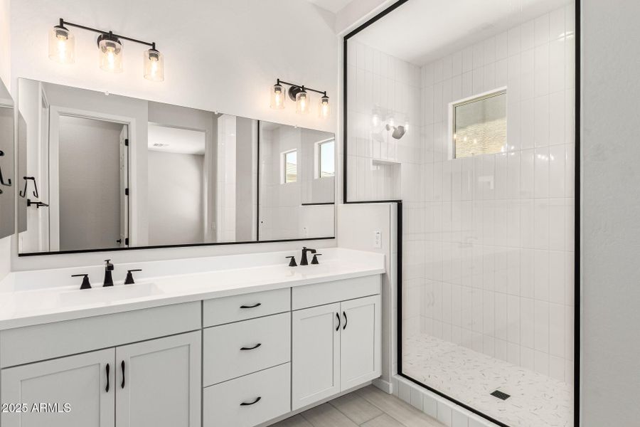 22-Hollyhock 22-Hollyhock