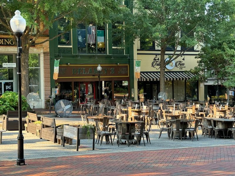 Image 22 representing the The Pinewood by Stanley Martin Homes in Zanes Creek, Inman, SC.