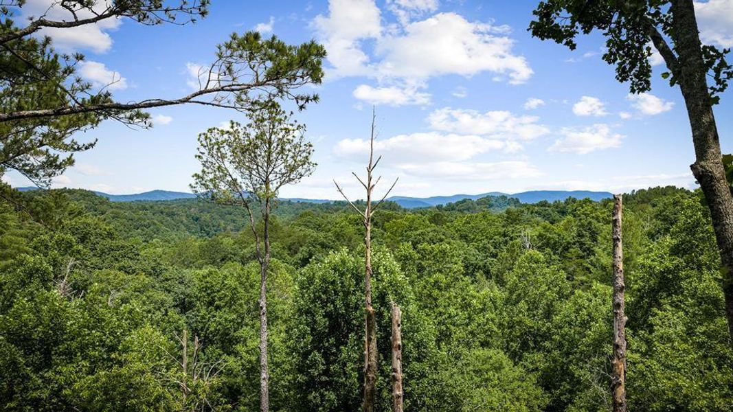 Natural landscape and outdoor views near  in Ellijay (Image 53).