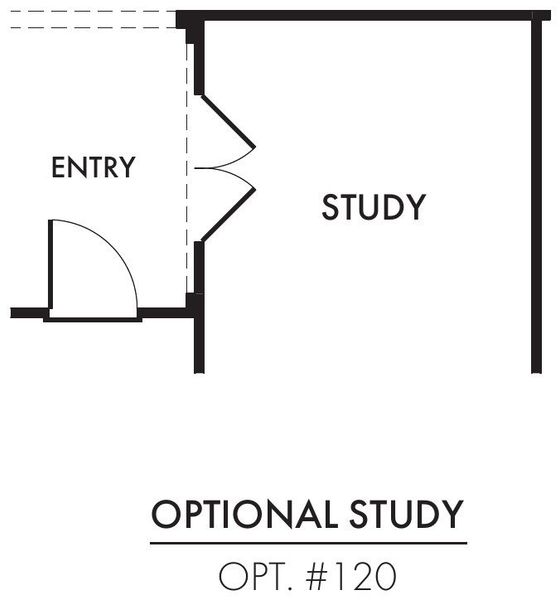 Study Study