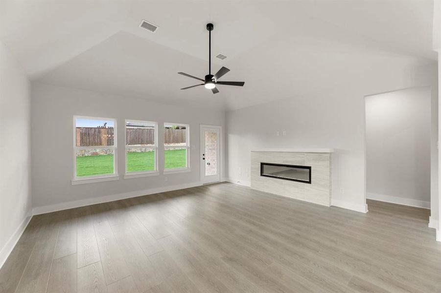 11. 924 Gold Finch - Family