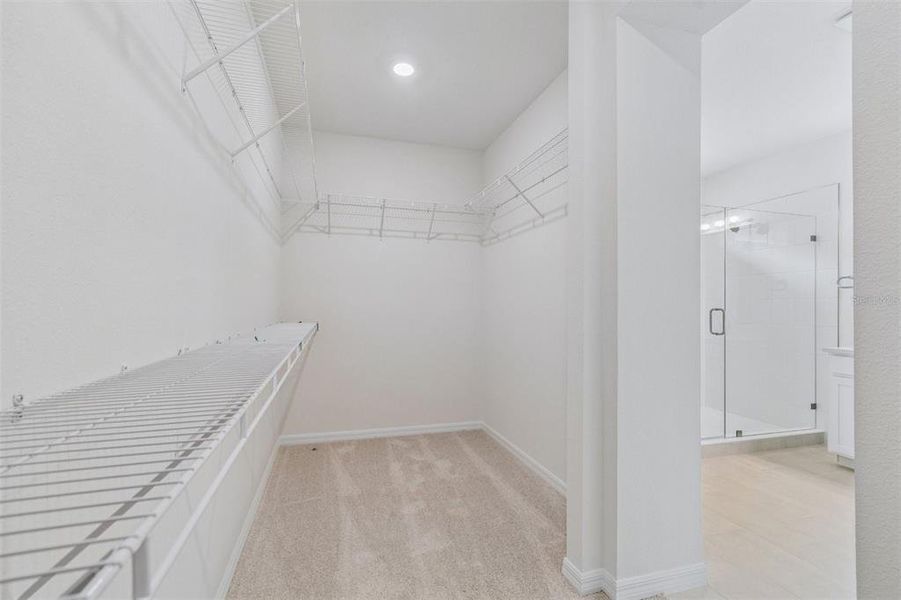 Spacious, unfurnished interior of a new home in Persimmon Place – Garden Series, Wesley Chapel (Image 19).