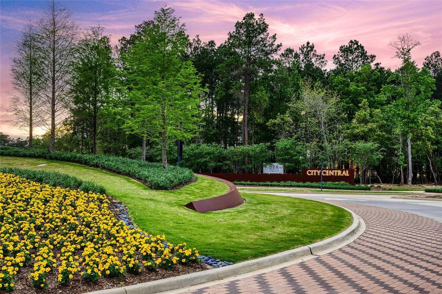 Community Image of Grand Central Park Community Image of Grand Central Park