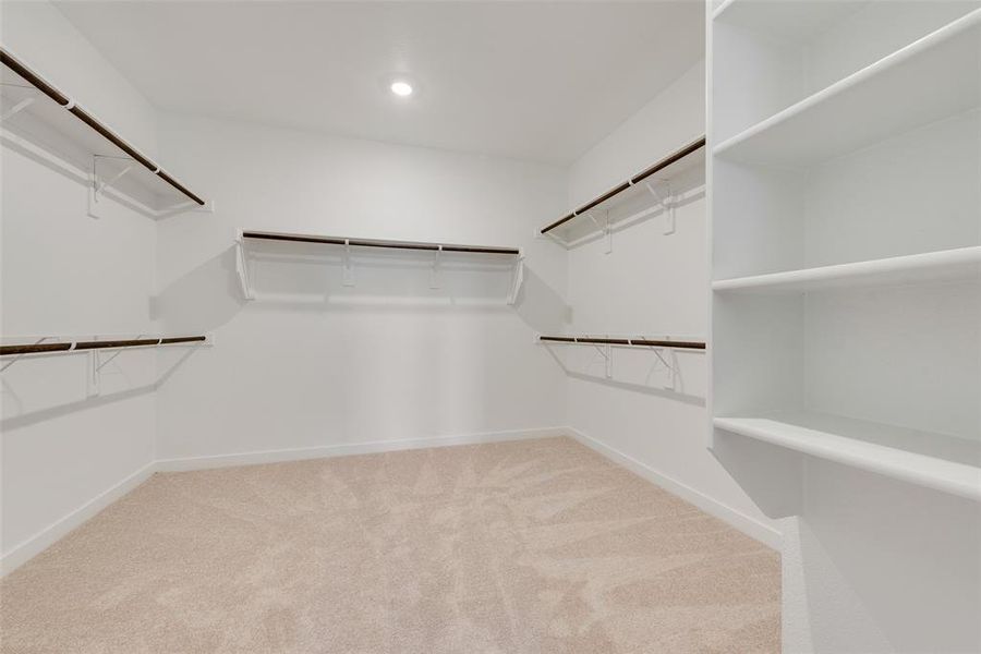 Walk in closet featuring light colored carpet