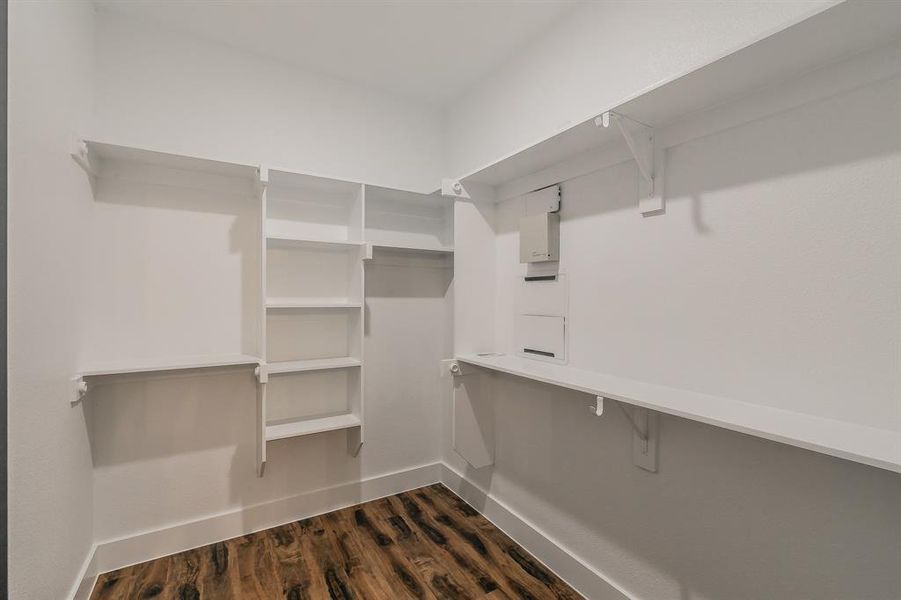 Spacious closet featuring dark hardwood / wood-style floors