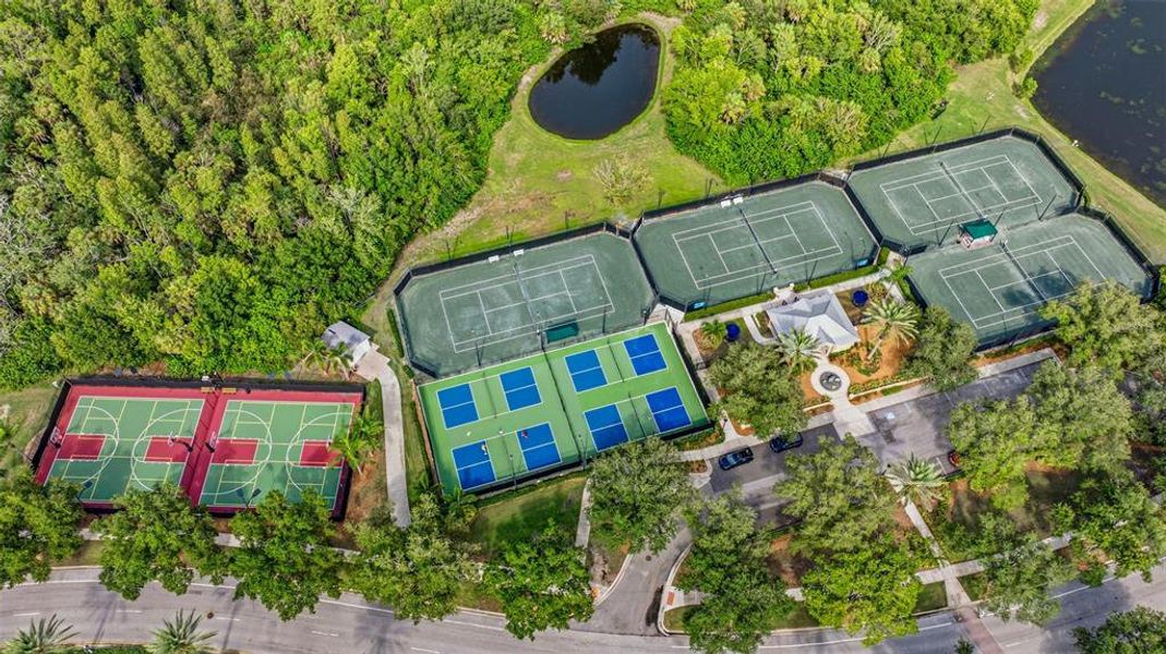 Community amenities in , Apollo Beach (Image 41). Community amenities in , Apollo Beach (Image 41).