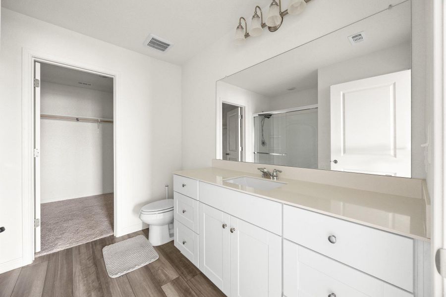 Bathroom featuring vanity, a walk in closet, a shower stall, and dark wood-type flooring