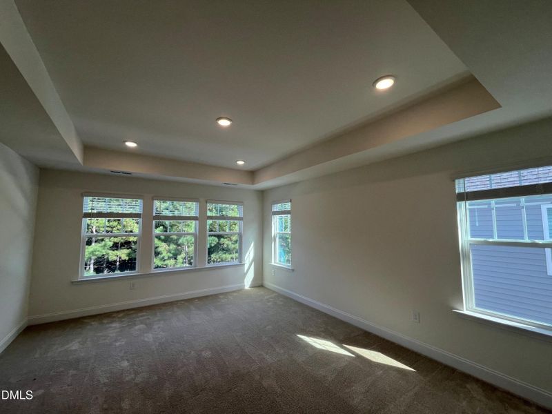 Primary Suite with lots of windows