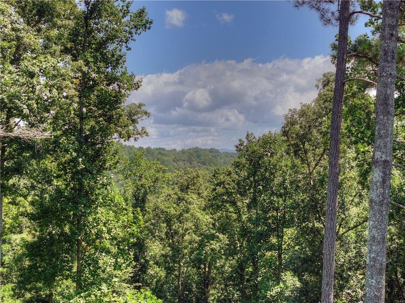 Natural landscape and outdoor views near  in Ellijay (Image 36).