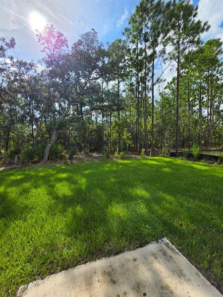 Natural landscape and outdoor views near  in Ocala (Image 20).