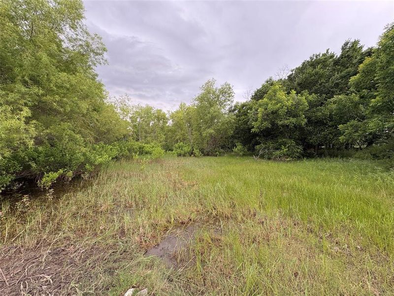 Natural landscape and outdoor views near Freeman Ranch in Weatherford (Image 19).