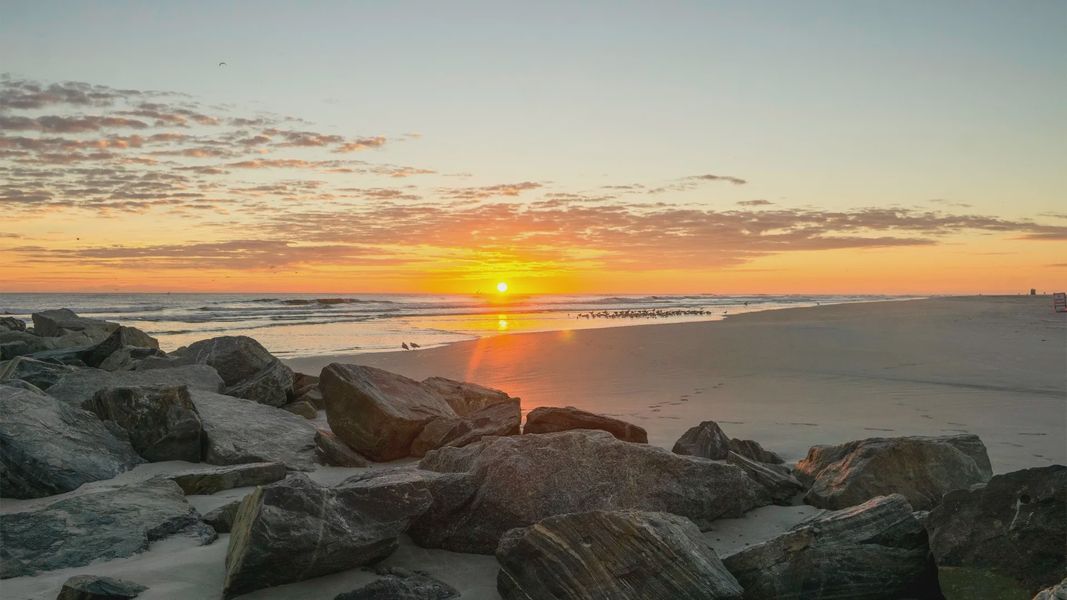 Natural landscape and outdoor views near Ardisia Park in New Smyrna Beach (Image 28).