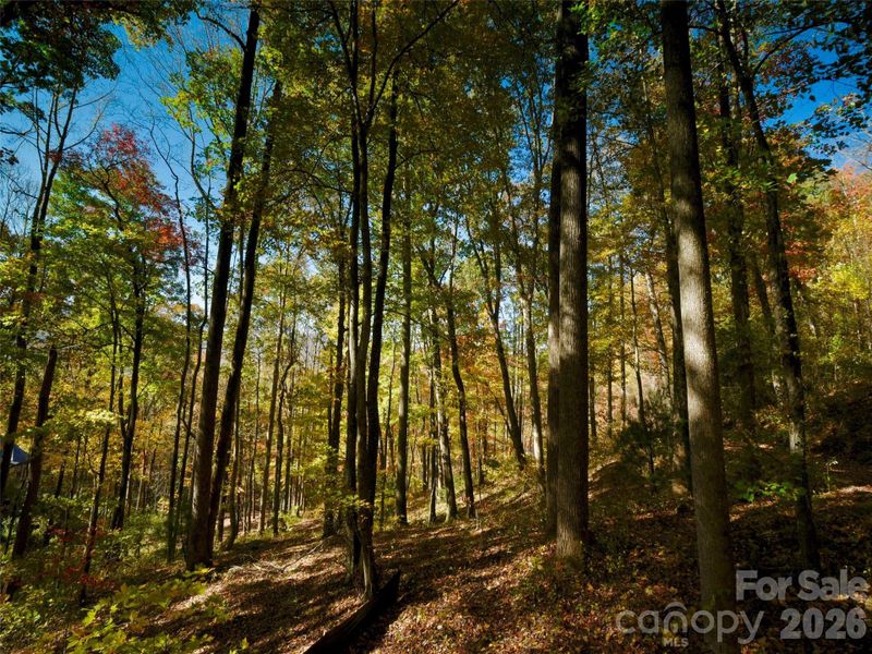Natural landscape and outdoor views near in Arden (Image 8). Natural landscape and outdoor views near in Arden (Image 8).