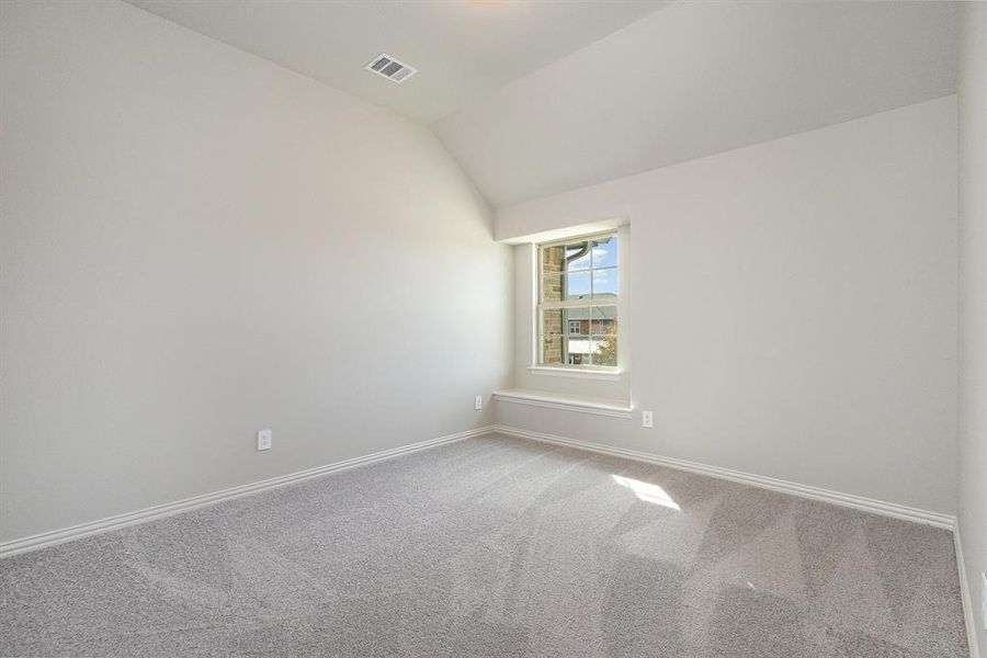 Spare room with carpet floors and vaulted ceiling