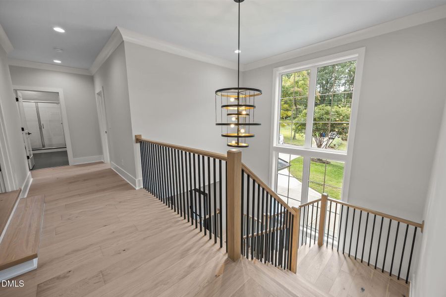 43-web-or-mls-IMG_4678