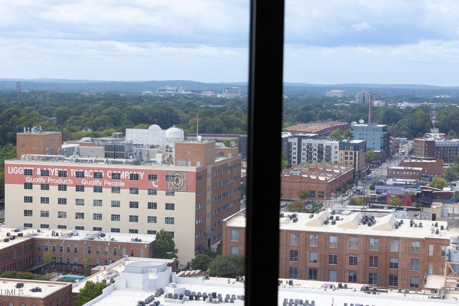 Novus_2_MLS-38 Novus_2_MLS-38