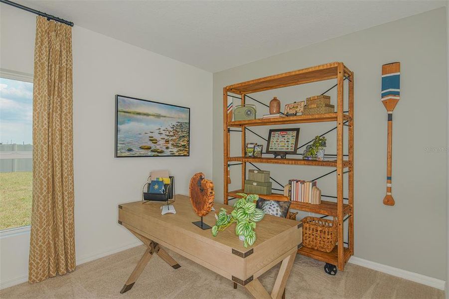 REPRESENTATIVE PHOTO