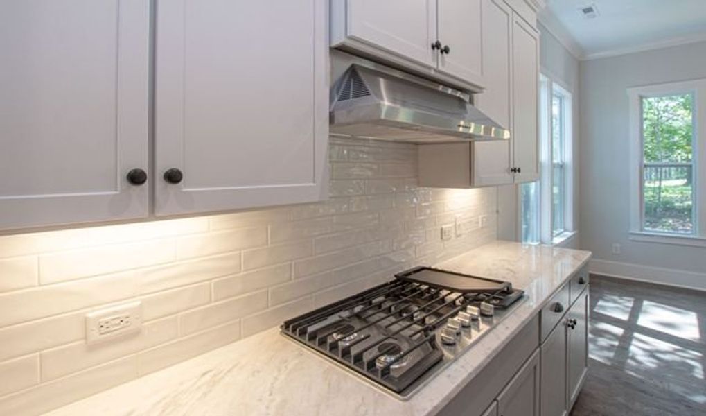 Representative interior finishes for a home built from the Atkinson by True Homes in Edgewater - Harbor Pointe, Lancaster (Image 11).
