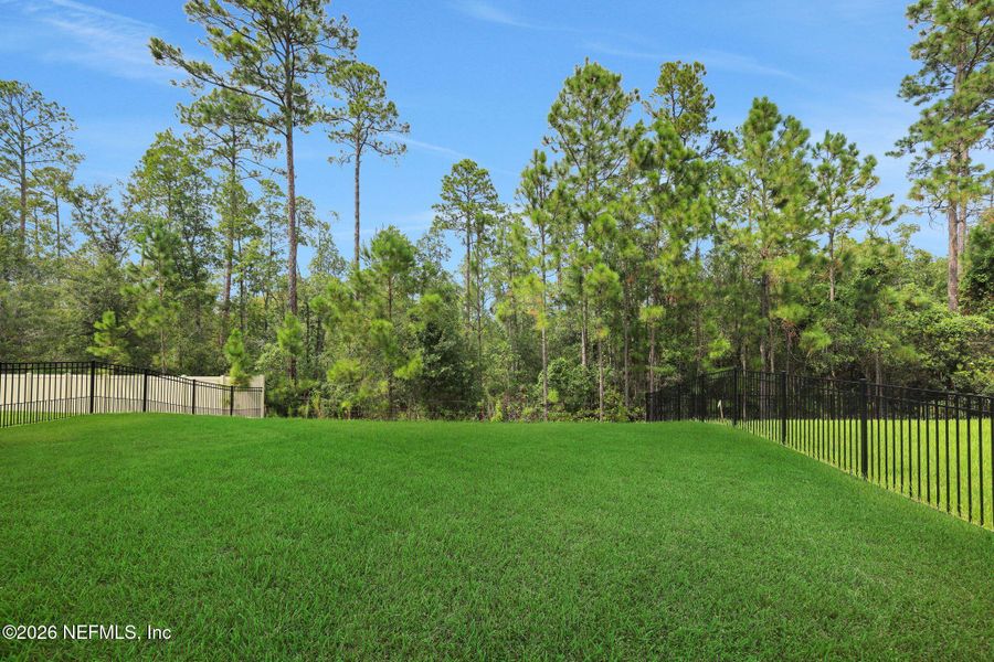 Natural landscape and outdoor views near Hyland Trail in Middleburg (Image 34).