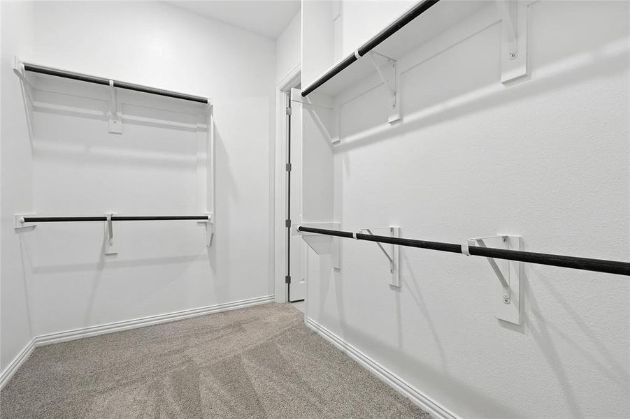 Spacious closet featuring carpet flooring