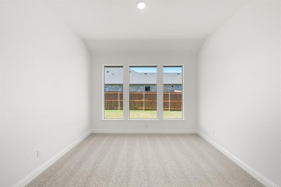 109 Grey Wolf- Study-1