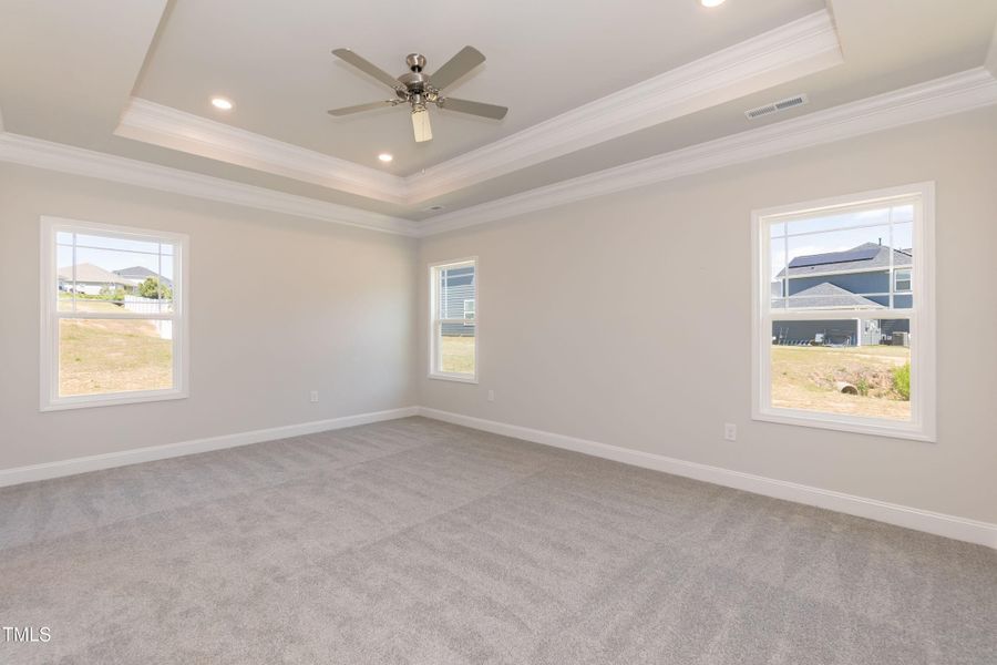 Primary 01 Primary 01