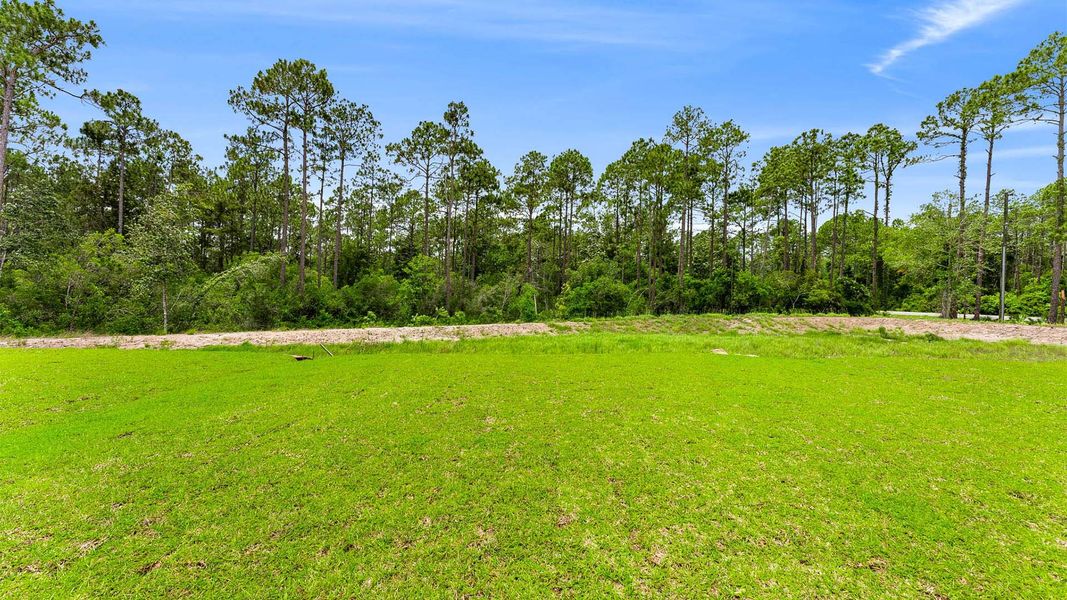 Natural landscape and outdoor views near Chateau Nemours in Port Saint Joe (Image 34).