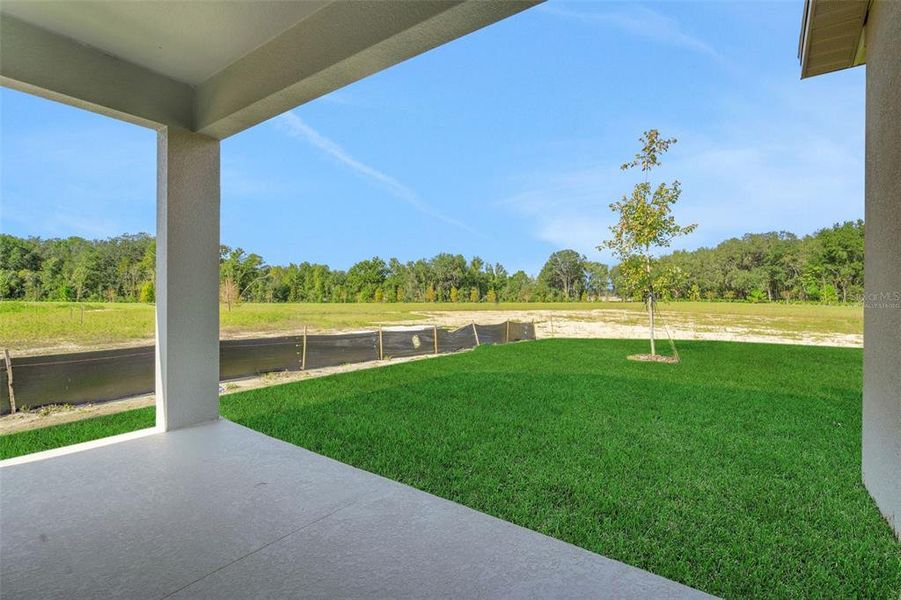 Exterior details and patio area of a home in Reserve at Hammock Oaks, Lady Lake (Image 23).