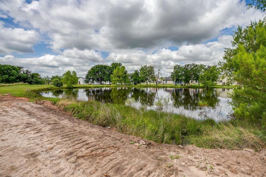 Natural landscape and outdoor views near  in Millsap (Image 10).