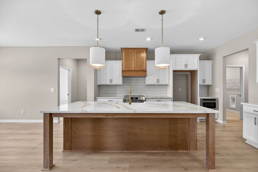 Furnished interior view inside a new home in Blackwelder Bluff, Bowdon (Image 7).