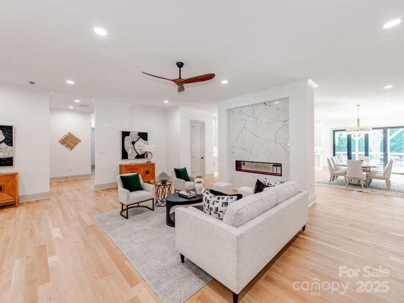 See Through Gas Fireplace