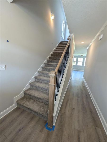 Spacious, unfurnished interior of a new home in Forrest Bluff, North Augusta (Image 14).