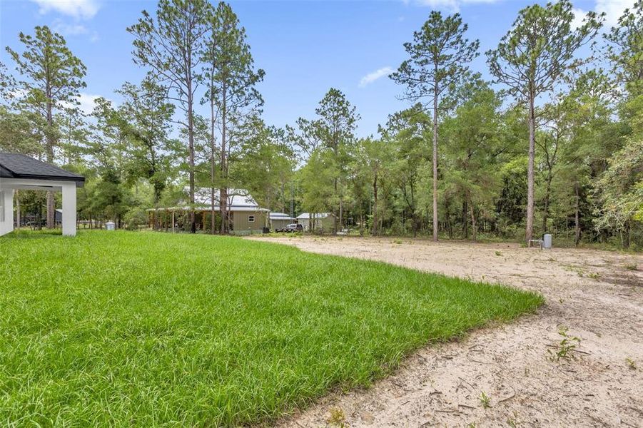 Natural landscape and outdoor views near  in Dunnellon (Image 39).
