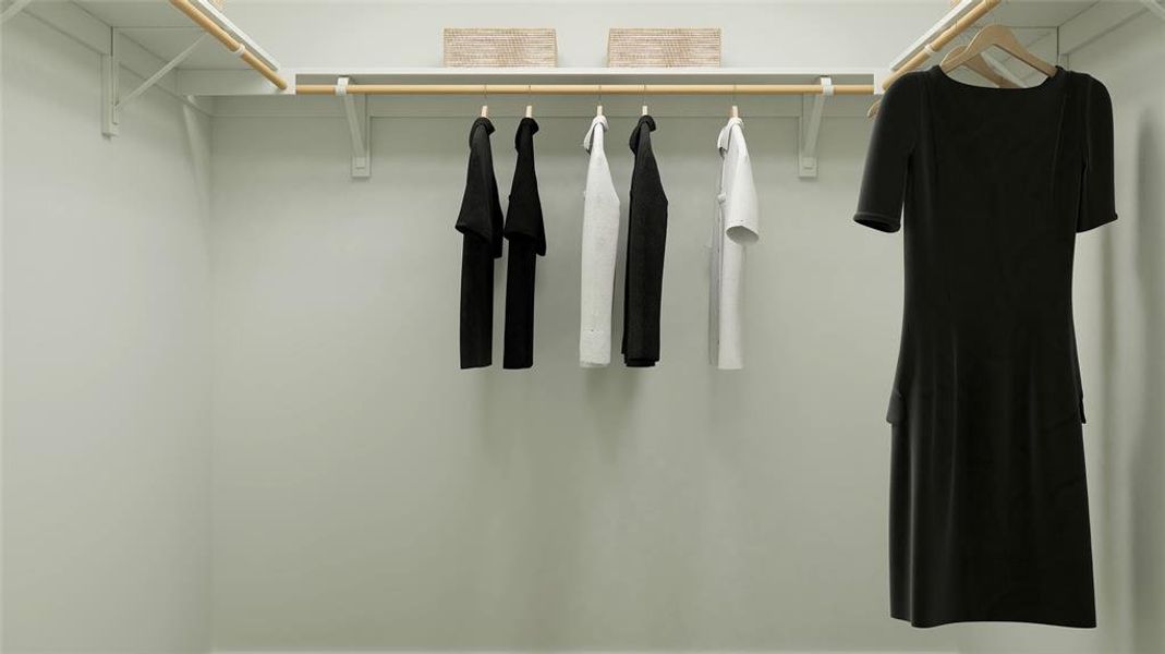 View of walk in closet