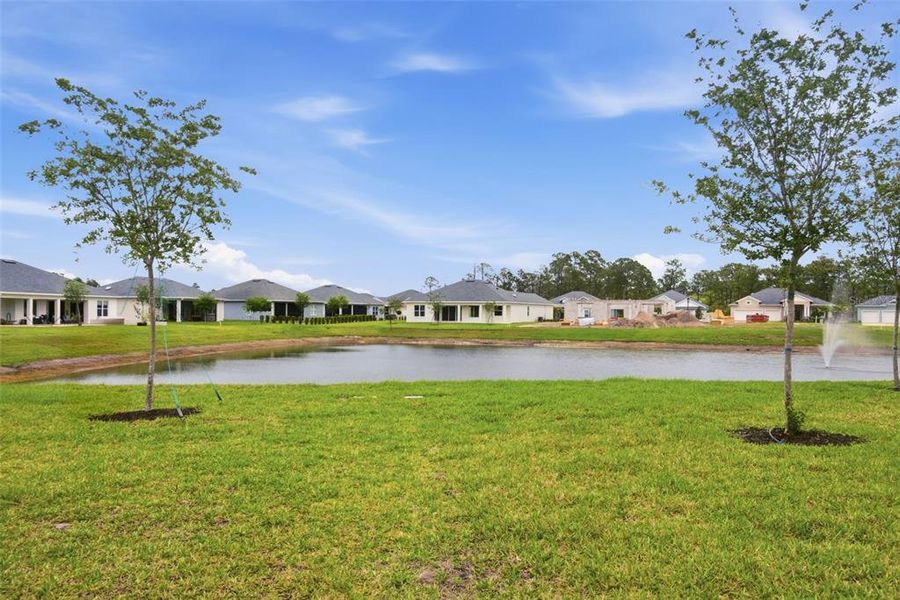 Natural landscape and outdoor views near  in Deland (Image 39).