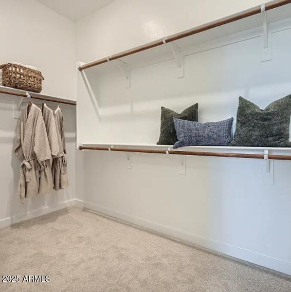 Owners Walk in Closet Owners Walk in Closet