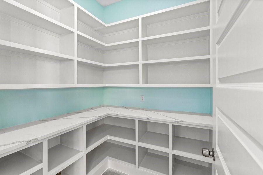 Custom Walk-In Pantry