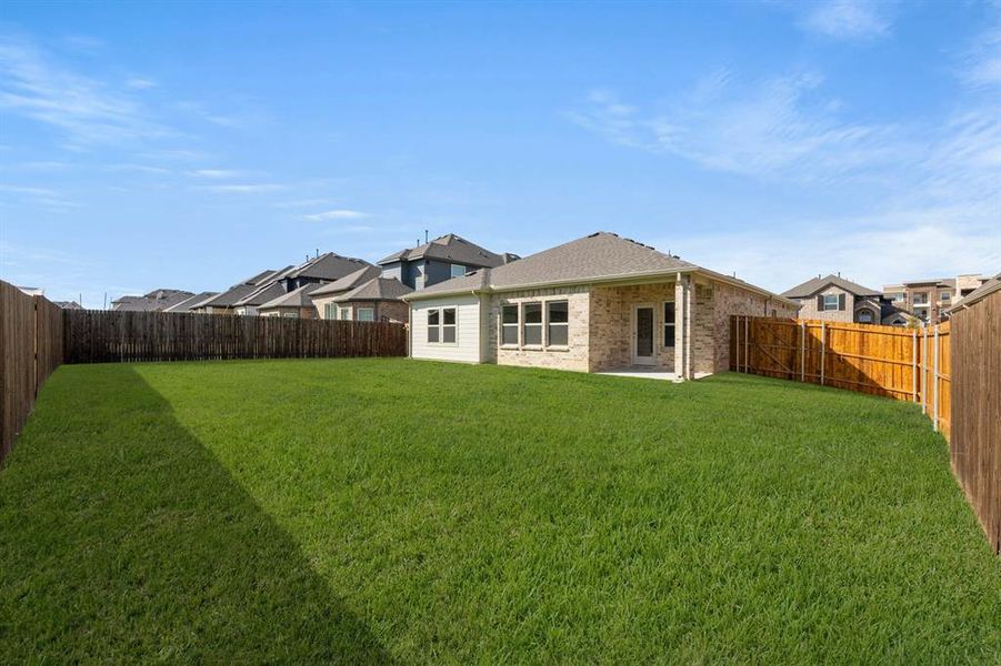 228 Tradd-Back-1 228 Tradd-Back-1