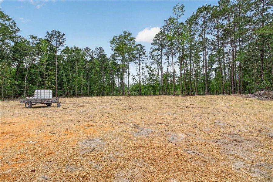 Site preparation for new homesites in , Walterboro (Image 45).