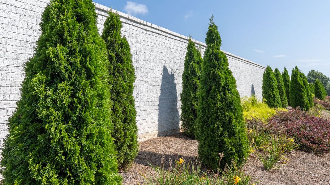 Image 18 representing the Robie by D.R. Horton in The Village at Sandy Plains, Marietta, GA.