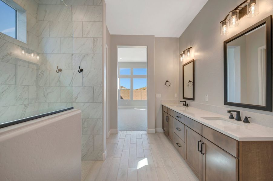 Owner's Bath